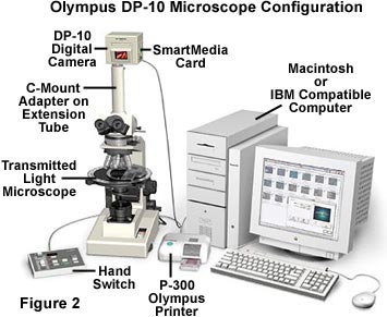 olympus dp-10 vintage digital microphotography camera 1998